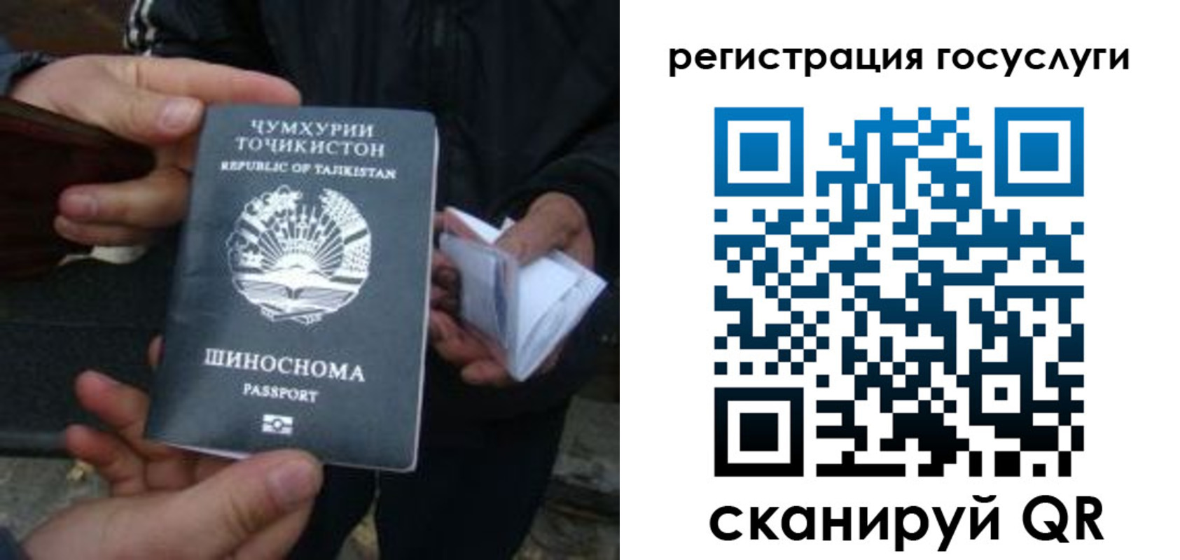 прописка регистрация в Мурино
